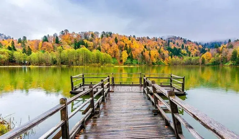 <p>Yapılan ölçümler sonucunda, Artvin, Türkiye’nin hava kalitesi en yüksek ili olarak açıklandı.</p>
<p>Yıl boyunca yapılan PM10 (partikül madde) ve PM2.5 ölçümlerine göre Artvin, havasında en az kirletici bulunduran il oldu. Doğu Karadeniz’in bu doğa harikası ili, yemyeşil ormanları, dağlık yapısı ve düşük nüfus yoğunluğuyla temiz hava açısından öne çıktı.</p>
<p>Uzmanlar, Artvin’in sanayi tesislerinden uzak, geniş orman örtüsüne sahip yapısının hava kalitesi üzerinde doğrudan etkili olduğunu vurguladı. Ayrıca bölgedeki hakim rüzgarların, havadaki kirletici unsurları hızla dağıttığı belirtildi.</p>