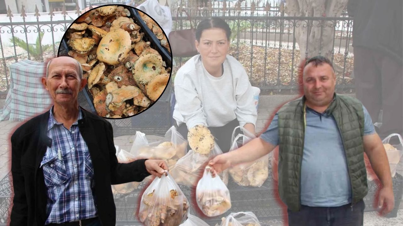 Antalya'nın doğal lezzeti yağmurdan sonra yeniden sofralarda!