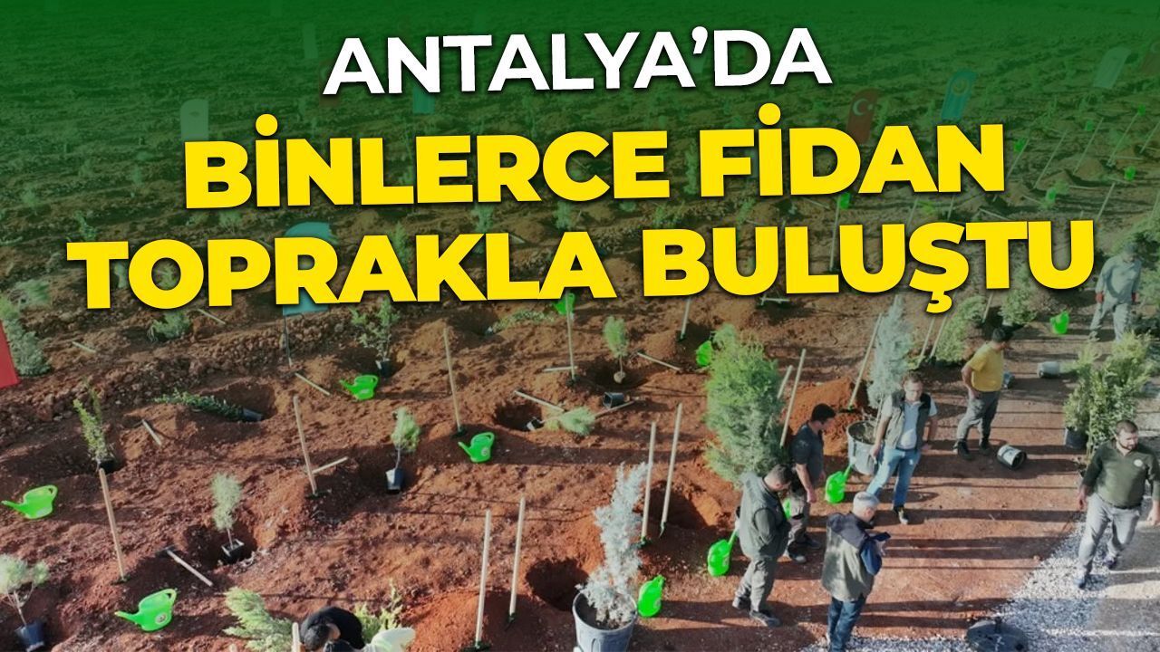 Antalya’da 11 Kasım Milli Ağaçlandırma Günü Etkinliği Başladı
