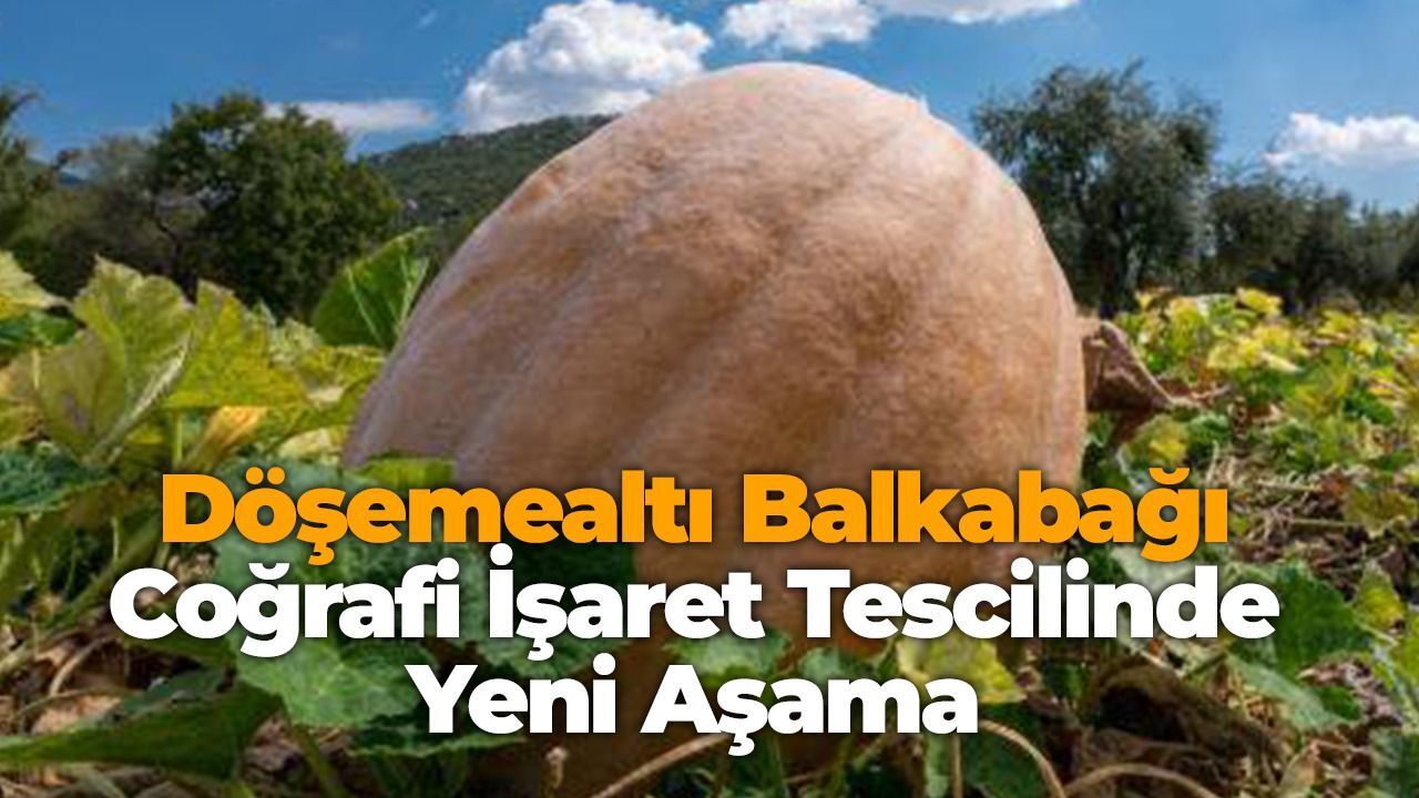 Döşemealtı Balkabağı Coğrafi İşaret Tescilinde Yeni Aşama