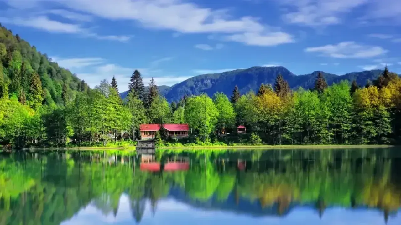 Artvin'in En Zengin İlçesi Hangisi?