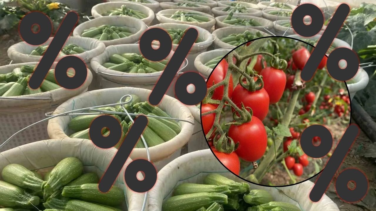 Antalya hallerinde alarm: Miktar düştü, fiyatlar rekor kırdı