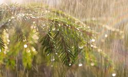 Antalya günlük hava durumu - 06.02.2026