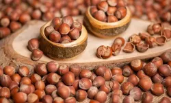 13 Şubat 2026 Cuma fındık fiyatları ne kadar? 