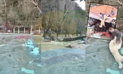 Alanya kabusu yaşıyor! İşletmeler tuzla buz oldu onlar çatıya sığındı! Saniyelerle yarıştılar