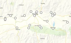 14 Şubat 2026 İzmir GEDİZ elektrik ne zaman gelecek?