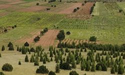 Antalya'da karar alındı! Burdur'un sınırları güncellendi