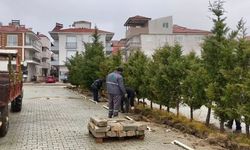 Antalya'nın o ilçesinde sağlık ocağı projesi öncesi ağaçlar taşındı