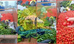 Antalya’da çöpteki sebzeler tepki çekti! İşte o anlar