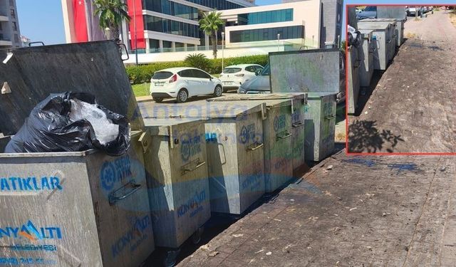 Antalya'da belediye önünde akılalmaz görüntü! 