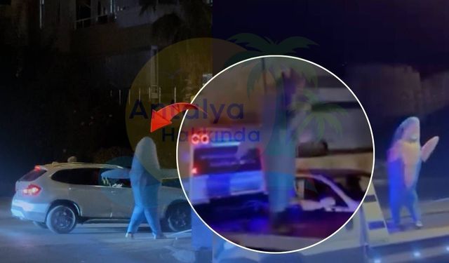 Antalya'da gülümseten görüntü! Köpekbalığı olarak otostop çekti