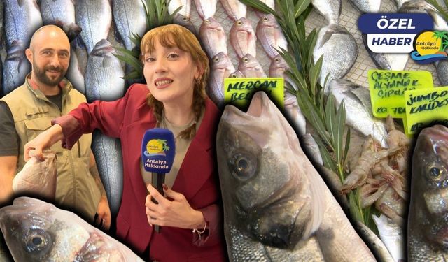 Antalya'da balık tezgahları şenlendi! Fiyatlarda son durum ne?