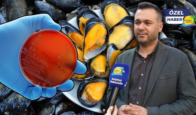 GMO Antalya Şube Başkanı'ndan art arda zehirlenme vakaları sonrası kritik uyarı!