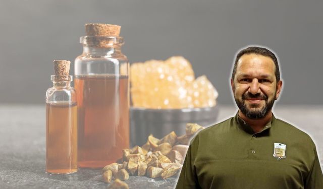 Antalya'da uzmanı uyardı: Propolis herkes için güvenli değil