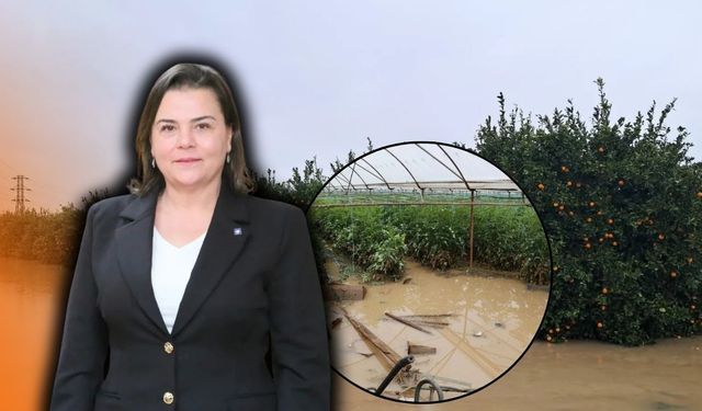 Antalya'da yağış ve hortumun bilançosu çok ağır oldu! Zarar 300 milyon TL!