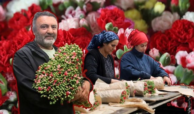 Sevgililer Günü’nde Antalya’dan çiçek rekoru: 75 milyon dal Avrupa yolunda