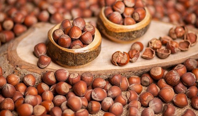 11 Şubat 2026 Çarşamba fındık fiyatları ne kadar?