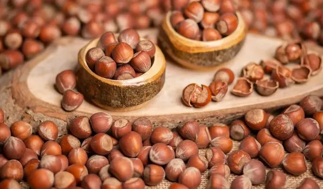 13 Şubat 2026 Cuma fındık fiyatları ne kadar? 