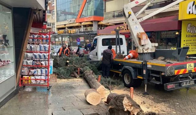 Isparta’da faciadan dönüldü! Fırtınada ağaç kökünden söküldü