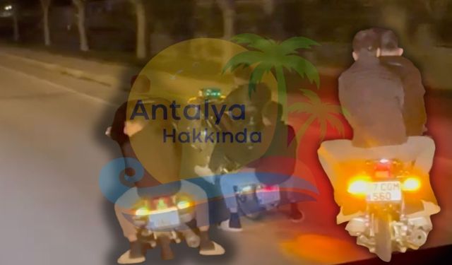 Ne kask var ne teçhizat! Antalya'da tehlike anları böyle görüntülendi