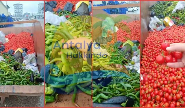 Antalya’da çöpteki sebzeler tepki çekti! İşte o anlar