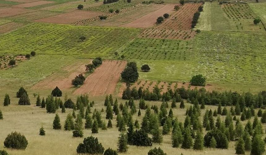 Antalya'da karar alındı! Burdur'un sınırları güncellendi